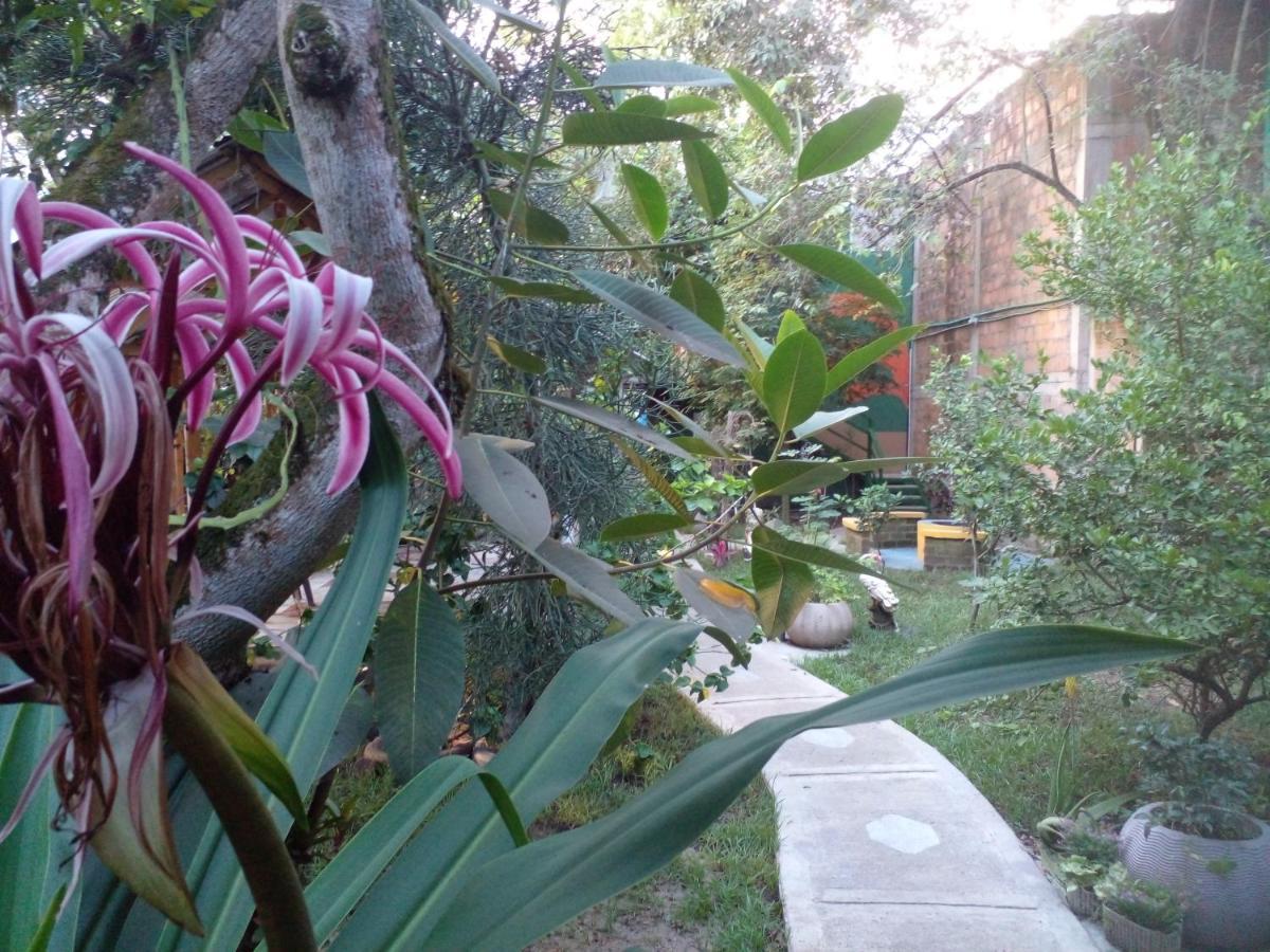 Montecarlos Hotel Ibagué Extérieur photo